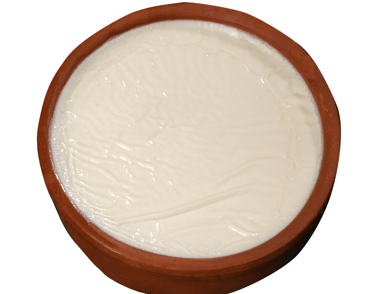 CANAK KOYUN YOGURT